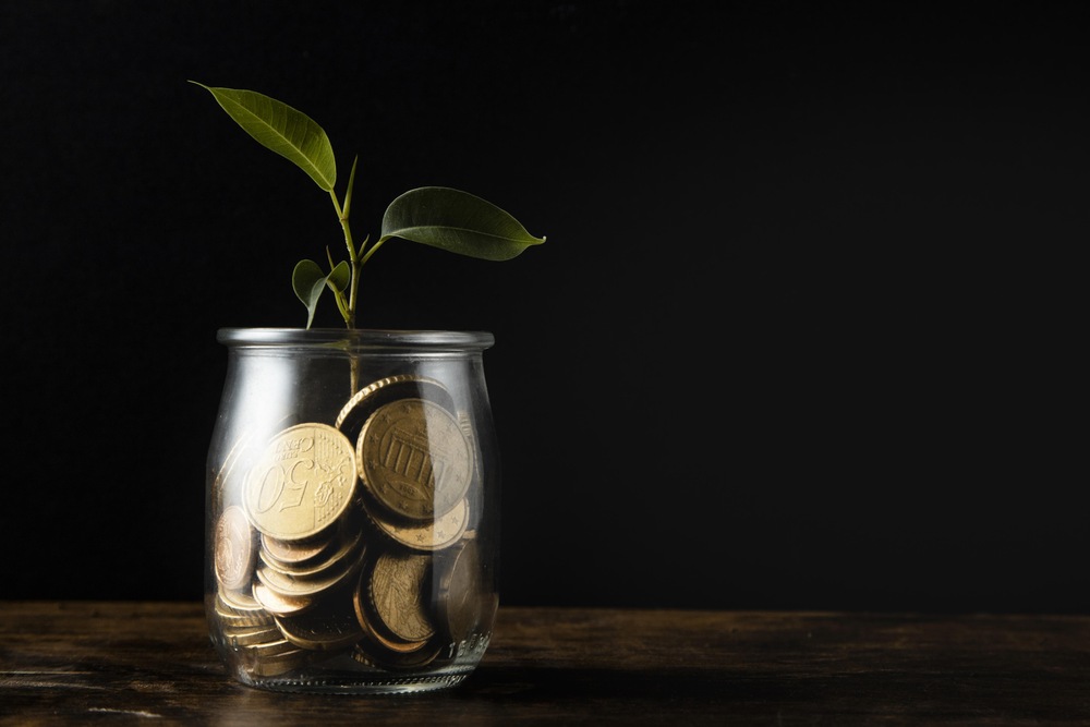 plant growing from jar with coins