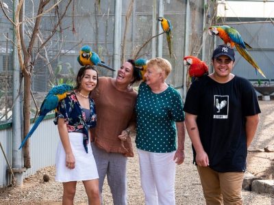 Maleny Botanic Gardens & Bird World