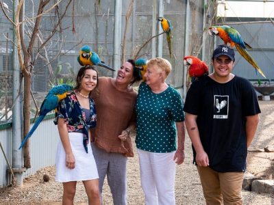 Maleny Botanic Gardens & Bird World